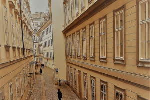 Vienna: Tour in the unknown City- a guided walking tour