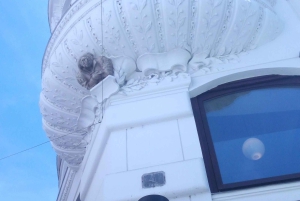 Vienna: Tour in the unknown City- a guided walking tour