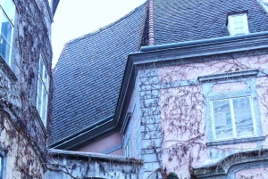 Vienna: Tour in the unknown City- a guided walking tour