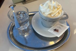 Vienna: tour di Vienna intorno al 1900