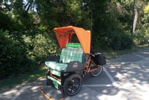 Wenen: Tour RAXI (elektrische riksja) 3 uur in Wenen