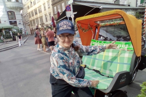 Wenen: Tour RAXI (elektrische riksja) 3 uur in Wenen