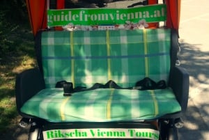 Wenen: Tour RAXI (elektrische riksja) 3 uur in Wenen