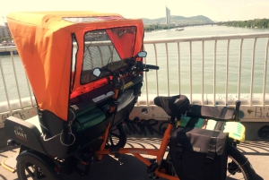 Wenen: Tour RAXI (elektrische riksja) 3 uur in Wenen