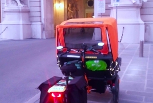 Wenen: Tour RAXI (elektrische riksja) 3 uur in Wenen
