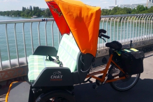 Wenen: Tour RAXI (elektrische riksja) 3 uur in Wenen