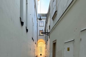 Vienna: Tour titled Vienna in the evening then and now