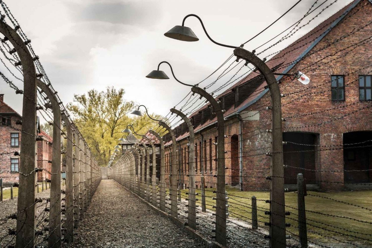 Wien: Utflykt till Auschwitz Birkenau