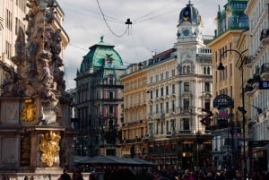 Wien: rundtur med privat guide