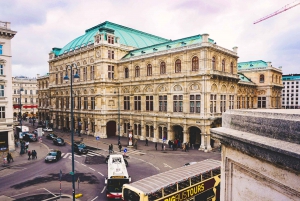 Viena: Tour com guia particular