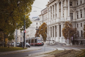 Vienna: tour con guida privata