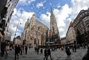 Wien: rundtur med privat guide