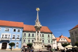 Vienna: Transfer to Prague via fabulous Mikulov & Kutna Hora