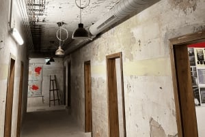 ウィーン：第二次世界大戦地下壕のチケットとガイド付きツアー