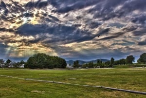 Vienne : observation des oiseaux en ville - visite guidée d'observation des oiseaux dans la métropole !