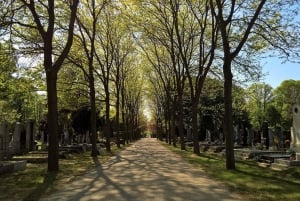 Vienne : observation des oiseaux en ville - visite guidée d'observation des oiseaux dans la métropole !