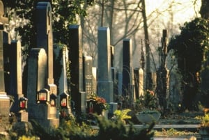 Vienna: Vienna Central Cemetery a guided walking tour through history