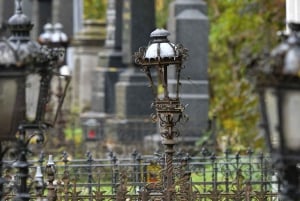 Vienna: Vienna Central Cemetery a guided walking tour through history