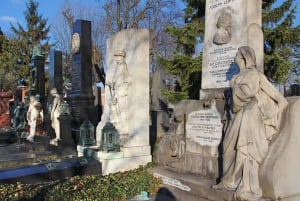 Vienna: Vienna Central Cemetery a guided walking tour through history