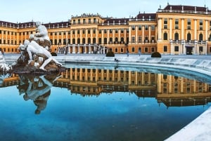 Вена: Частный трансфер из аэропорта Вены VIE в центр города
