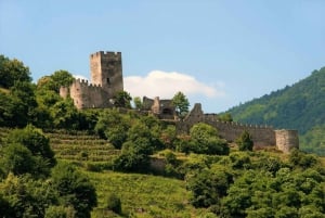 Vienna: Wachau Valley Private Kayak and Wine Tour