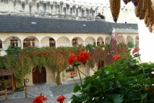 Vienna: Wachau Valley Private Kayak and Wine Tour