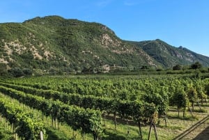 Wenen: privékajak- en wijntour door de Wachau-vallei