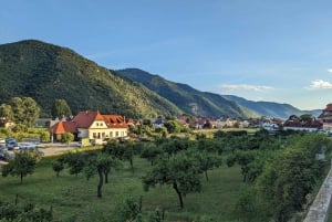 Wien: Wachaun laakson yksityinen kajakki- ja viinikierros
