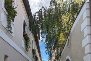 Viena: Wachau Valley Private Kayak and Wine Tour