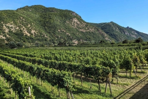 Viena: Wachau Valley Private Kayak and Wine Tour