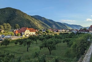 Viena: Wachau Valley Private Kayak and Wine Tour