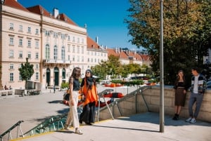Vienna: tour a piedi del MuseumsQuartier con guida