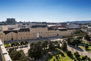Vienna: tour a piedi del MuseumsQuartier con guida
