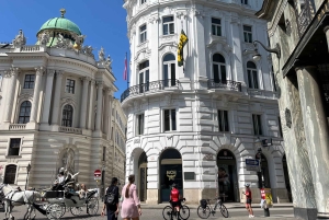 Vienna: Walking Tour with a Local Guide