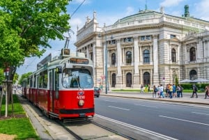 Viena: Tarjeta de Bienvenida con billete de transporte público y descuentos