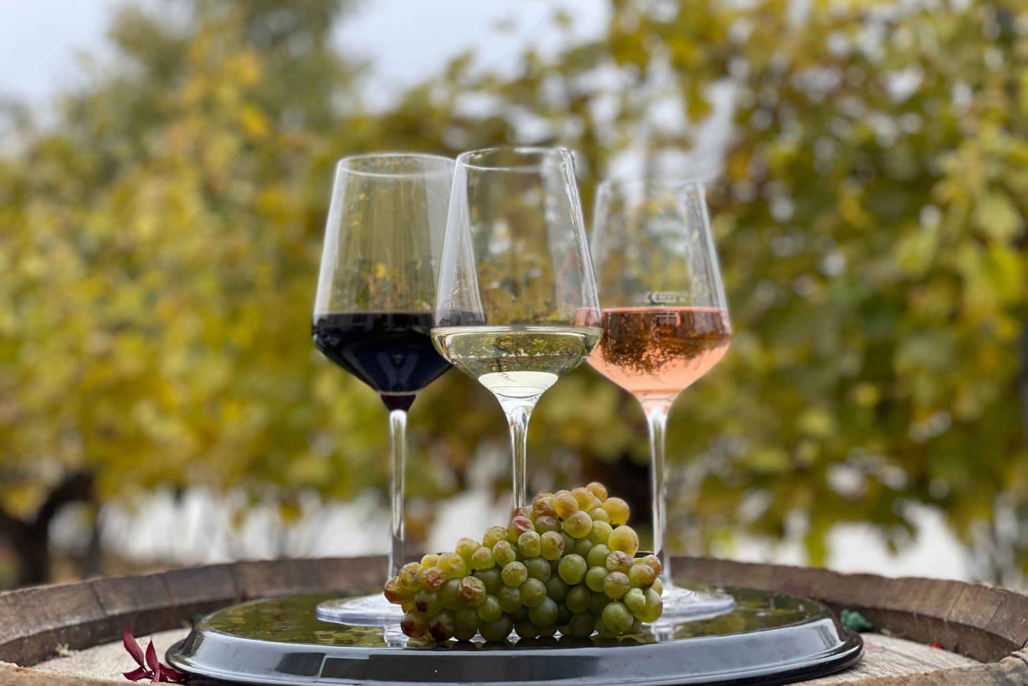 Vienna: Wine Tasting at Schönbrunn Palace