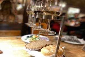 Vienna: degustazione di vini nella cantina tradizionale