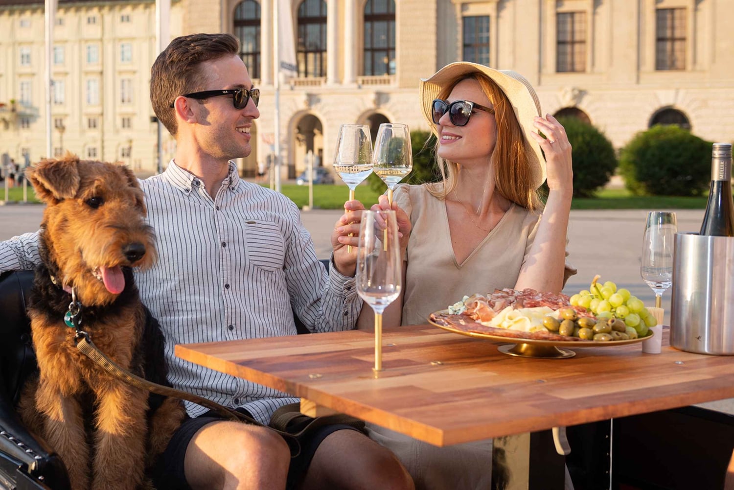 Vienna: Wine Tasting Tour with Local Delicacies