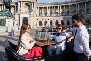 Vienna: Wine Tasting Tour with Local Delicacies