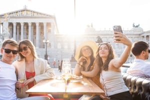 Vienna: Wine Tasting Tour with Local Delicacies