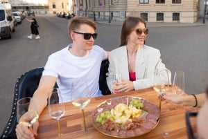 Vienna: Wine Tasting Tour with Local Delicacies