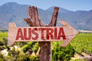 Vienna: tour in cantina e degustazione di vini con un esperto di vini