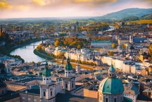 Vienna: tour in cantina e degustazione di vini con un esperto di vini