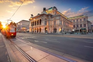 Vienna: tour in cantina e degustazione di vini con un esperto di vini