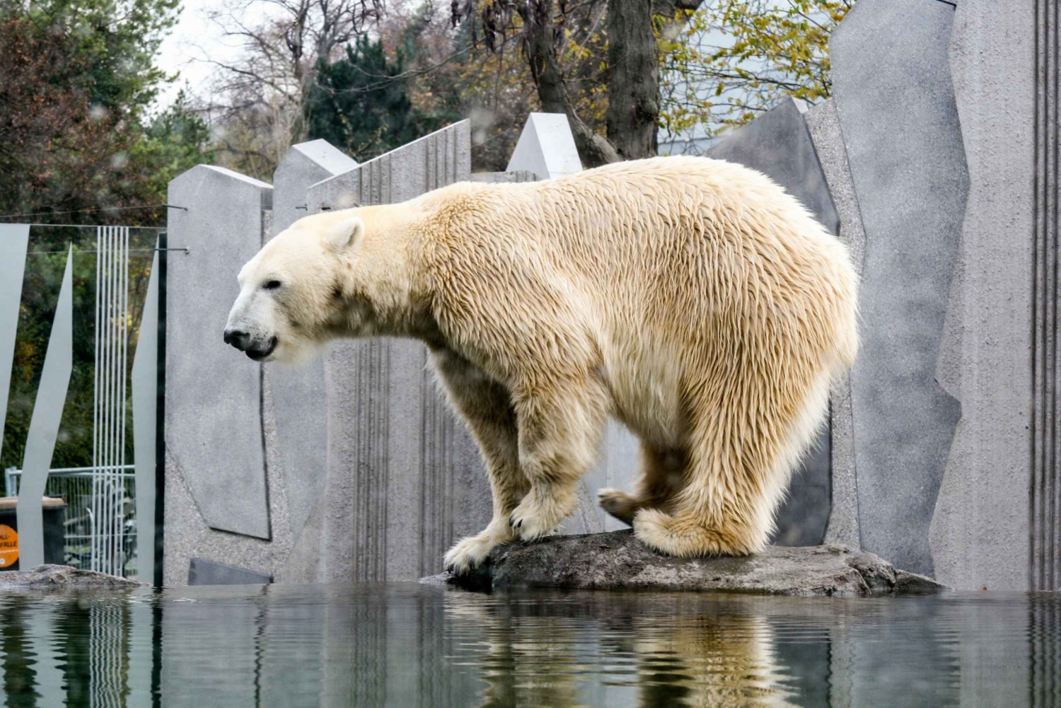 Vienne : Zoo avec transferts privés flexibles et billets