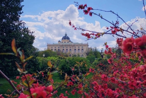Vienna: Instagram Photo Walking Tour with Instant Camera