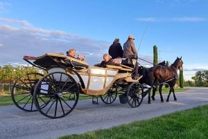 Wachau porcelain carriage A sparkling carriage ride through the vineyards