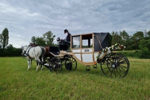 Wachau porcelain carriage A sparkling carriage ride through the vineyards