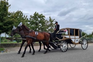 Wachau porcelain carriage A sparkling carriage ride through the vineyards