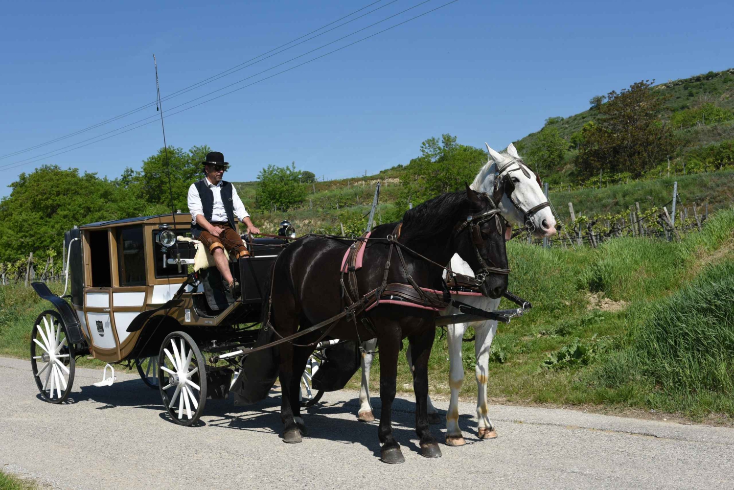 ヴァッハウ磁器馬車 葡萄畑の中を馬車で走るゾクゾクするような体験